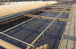 聯(lián)測(cè)溶解氧儀助力荊門格林美污水處理